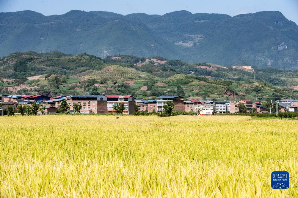 ag登录方式